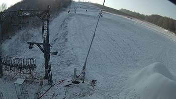 Ведмежа 5 грудня 2019 року, 2019-12-05 13:00
