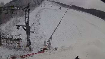 Ведмежа 6 грудня 2019 року, 2019-12-06 13:00