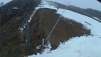 Ведмежа 11 грудня 2019 року, 2019-12-11 10:00