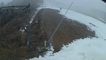 Ведмежа 11 грудня 2019 року, 2019-12-11 13:00