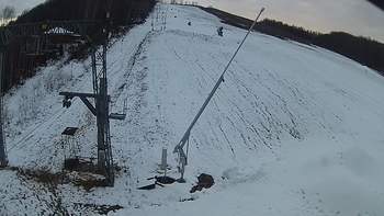 Ведмежа 12 грудня 2019 року, 2019-12-12 16:00
