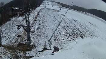 Ведмежа 13 грудня 2019 року, 2019-12-13 10:00