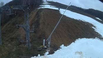 Ведмежа 15 грудня 2019 року, 2019-12-15 13:00