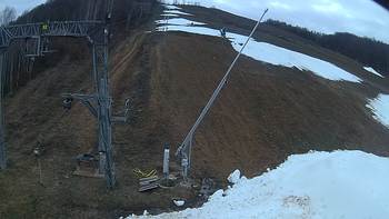 Ведмежа 17 грудня 2019 року, 2019-12-17 16:00