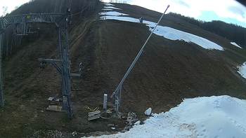 Ведмежа 18 грудня 2019 року, 2019-12-18 13:00
