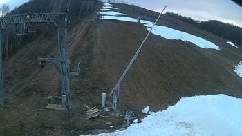 Ведмежа 18 грудня 2019 року, 2019-12-18 16:00