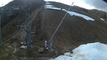 Ведмежа 22 грудня 2019 року, 2019-12-22 13:00