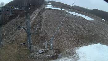 Ведмежа 28 грудня 2019 року, 2019-12-28 10:00