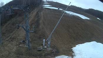 Ведмежа 28 грудня 2019 року, 2019-12-28 13:00