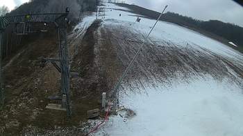 Ведмежа 2 січня 2020 року, 2020-01-02 13:00