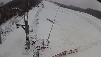 Ведмежа 14 січня 2020 року, 2020-01-14 13:00