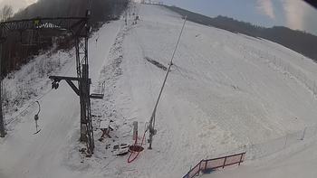 Ведмежа 15 січня 2020 року, 2020-01-15 10:00