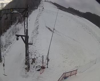 Ведмежа 16 січня 2020 року, 2020-01-16 10:00
