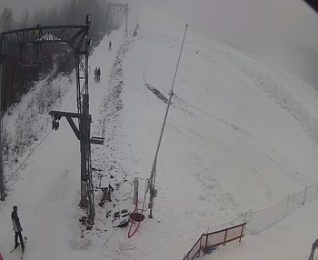 Ведмежа 16 січня 2020 року, 2020-01-16 13:00