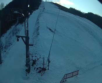Ведмежа 17 січня 2020 року, 2020-01-17 16:00