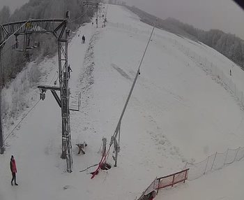 Ведмежа 19 січня 2020 року, 2020-01-19 10:00