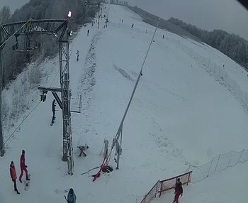 Ведмежа 19 січня 2020 року, 2020-01-19 16:00