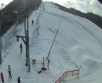 Ведмежа 20 січня 2020 року, 2020-01-20 13:00