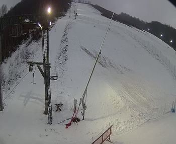 Ведмежа 22 січня 2020 року, 2020-01-22 16:00