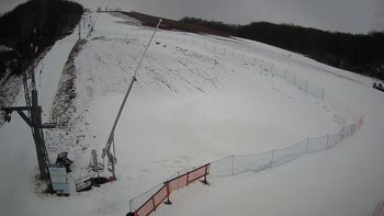 Ведмежа 12 лютого 2020 року, 2020-02-12 10:00