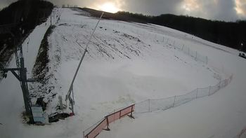 Ведмежа 13 лютого 2020 року, 2020-02-13 16:00