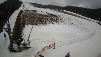 Ведмежа 19 лютого 2020 року, 2020-02-19 13:00