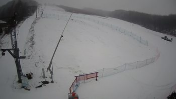 Ведмежа 28 лютого 2020 року, 2020-02-28 13:00
