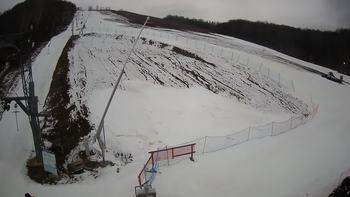Ведмежа 1 березня 2020 року, 2020-03-01 10:00