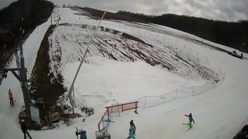 Ведмежа 1 березня 2020 року, 2020-03-01 13:00