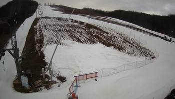 Ведмежа 1 березня 2020 року, 2020-03-01 16:00