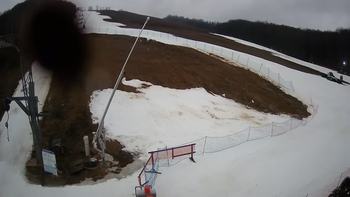 Ведмежа 2 березня 2020 року, 2020-03-02 13:00