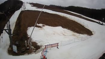 Ведмежа 2 березня 2020 року, 2020-03-02 16:00