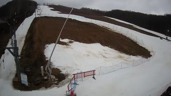 Ведмежа 3 березня 2020 року, 2020-03-03 10:00