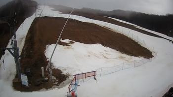 Ведмежа 3 березня 2020 року, 2020-03-03 13:00