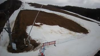 Ведмежа 3 березня 2020 року, 2020-03-03 16:00