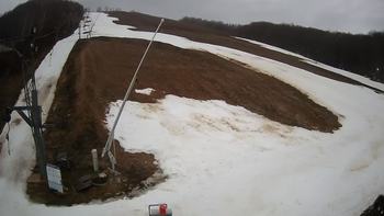 Ведмежа 4 березня 2020 року, 2020-03-04 10:00