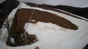 Ведмежа 4 березня 2020 року, 2020-03-04 13:00