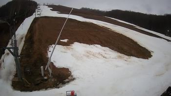 Ведмежа 4 березня 2020 року, 2020-03-04 16:00