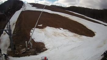 Ведмежа 5 березня 2020 року, 2020-03-05 13:00