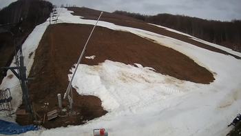 Ведмежа 6 березня 2020 року, 2020-03-06 10:00