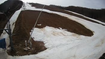 Ведмежа 6 березня 2020 року, 2020-03-06 13:00