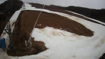 Ведмежа 7 березня 2020 року, 2020-03-07 10:00
