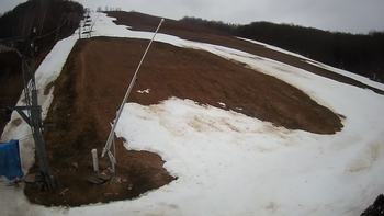 Ведмежа 7 березня 2020 року, 2020-03-07 13:00