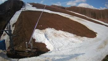 Ведмежа 8 березня 2020 року, 2020-03-08 10:00