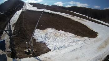 Ведмежа 8 березня 2020 року, 2020-03-08 13:00