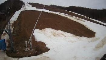 Ведмежа 9 березня 2020 року, 2020-03-09 10:00