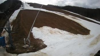 Ведмежа 9 березня 2020 року, 2020-03-09 13:00