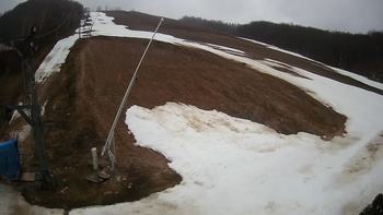 Ведмежа 11 березня 2020 року, 2020-03-11 10:00