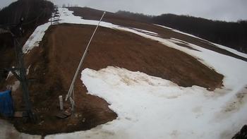 Ведмежа 11 березня 2020 року, 2020-03-11 13:00