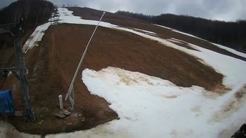Ведмежа 12 березня 2020 року, 2020-03-12 13:00